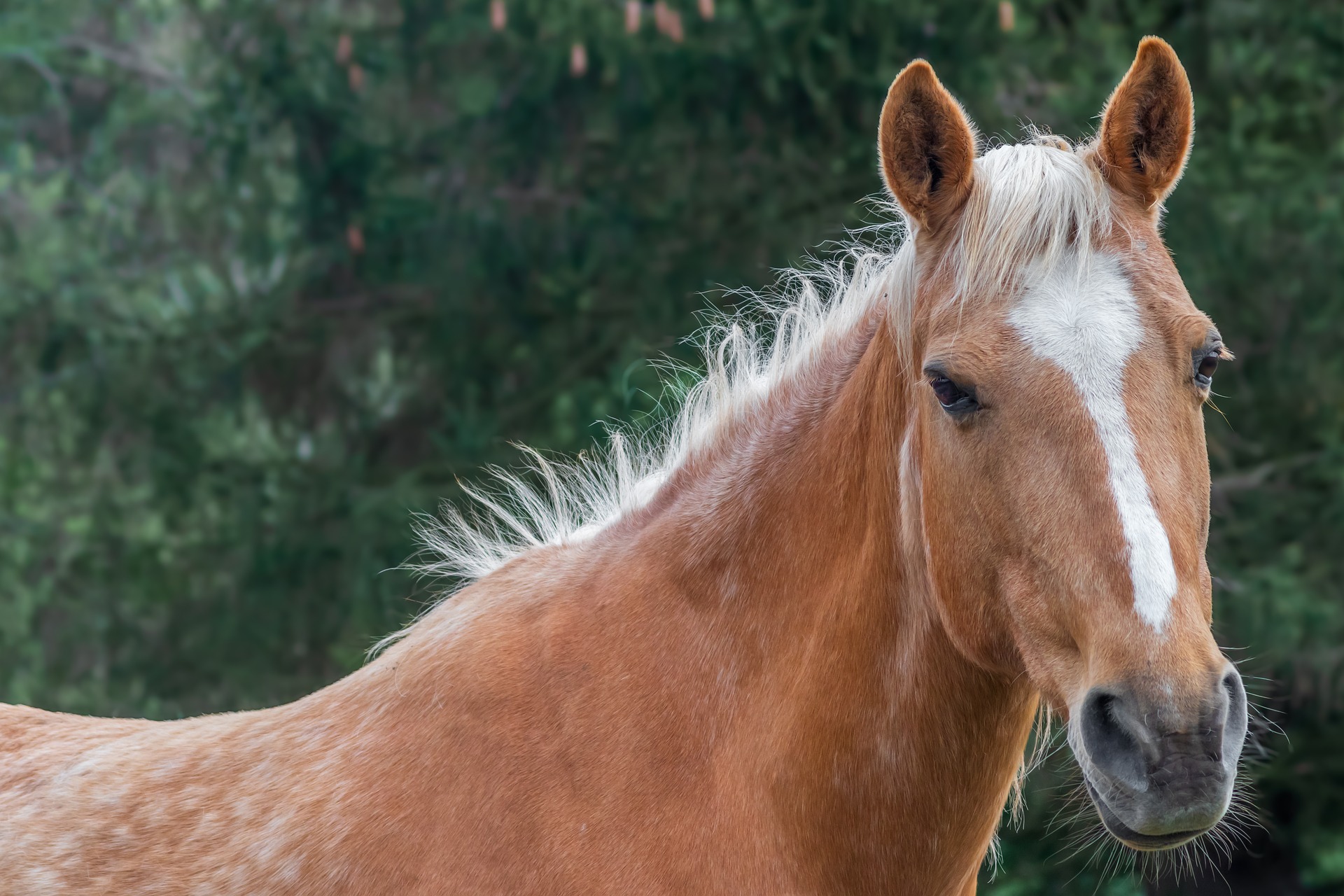 clinica-veterinaria-en-guadalajara